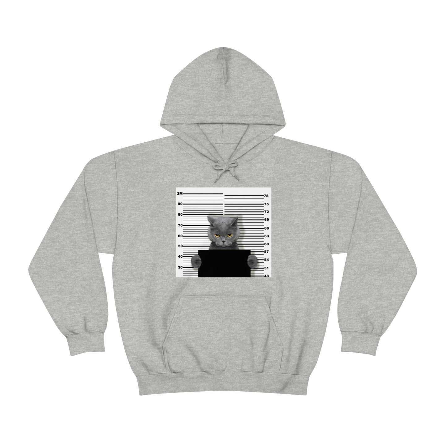 Unisex Hoodie - Feline Felon