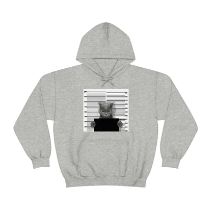 Unisex Hoodie - Feline Felon